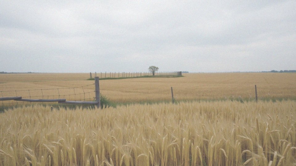 Ile kosztuje odrolnienie działki klasy 4? Przewodnik po kosztach